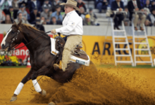 What are the different maneuvers in reining