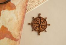 explore ynrmsmam updates now