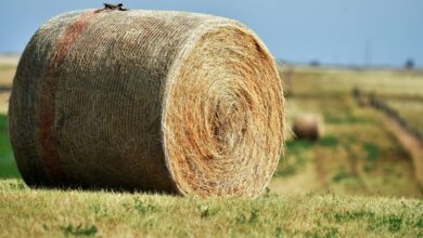 apex beam expansion node