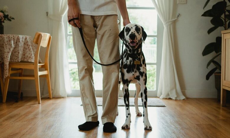 caller pattern analysis alerts