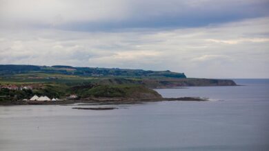 conversion expansion limitless edge