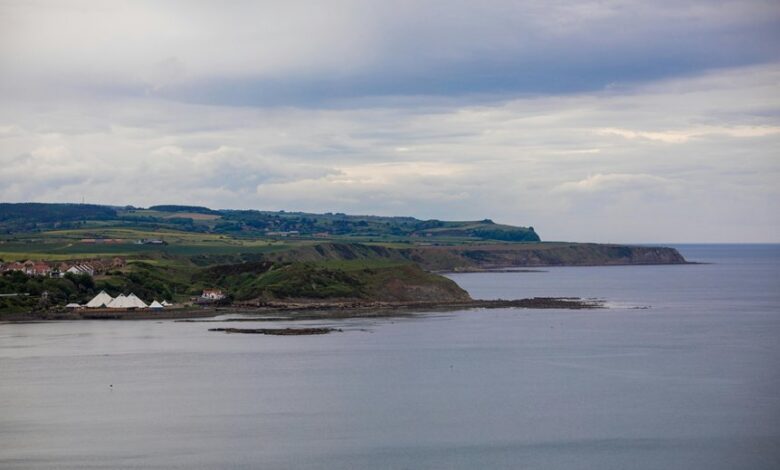 conversion expansion limitless edge