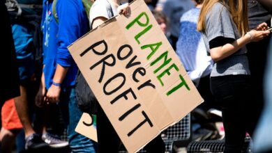 cosmic profit beam journey