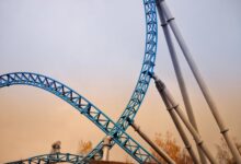 momentum support contact information