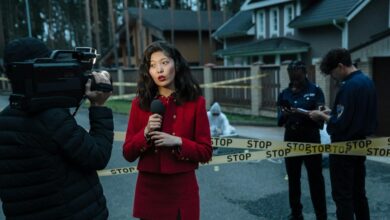 new investigation report released