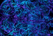 quantum neural pulse technology