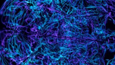 quantum neural pulse technology