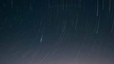 radiant strategic loop 902337766