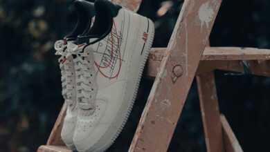 titan flow brand ladder