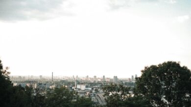 unique conversion advantage horizon